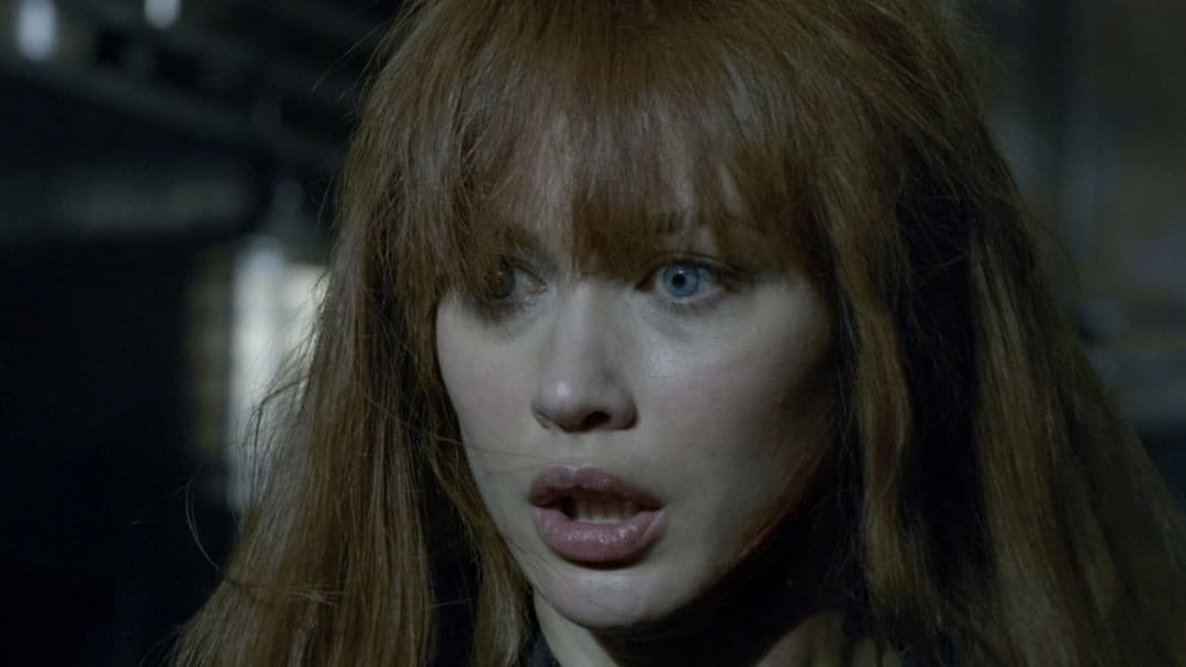 Momentum backdrop 14