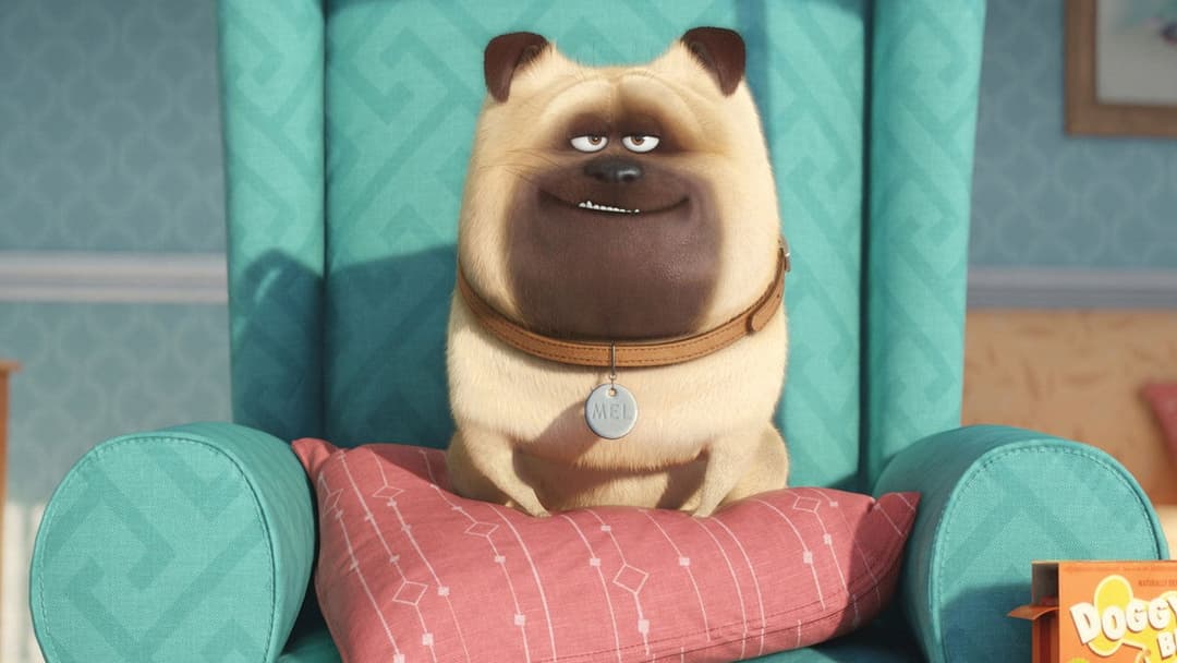 Секрети домашніх тварин backdrop 16