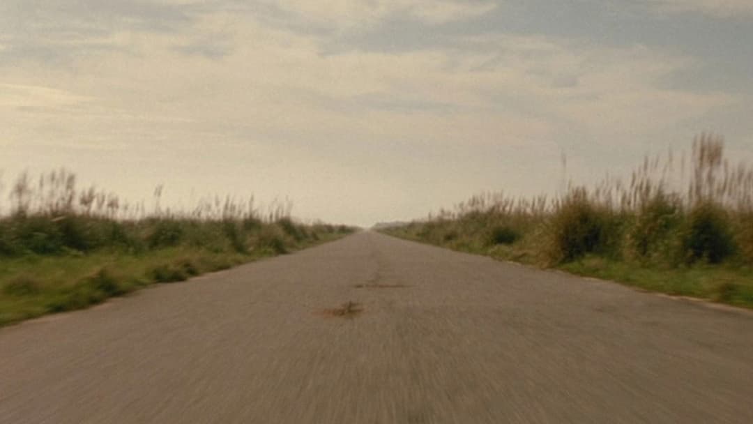 Die Reise des jungen Che backdrop 1