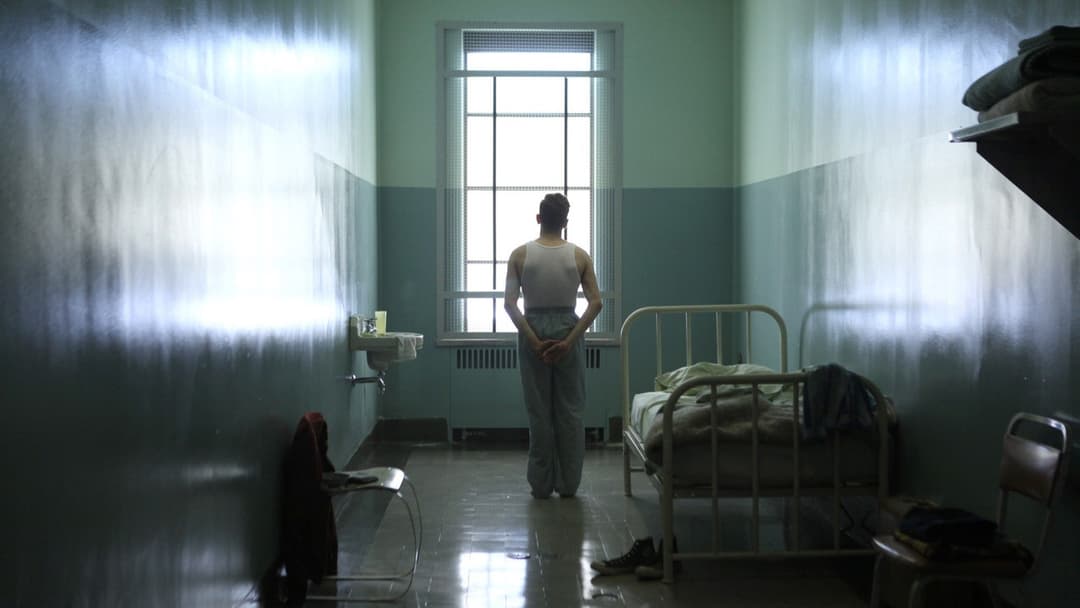 Elephant Song backdrop 2