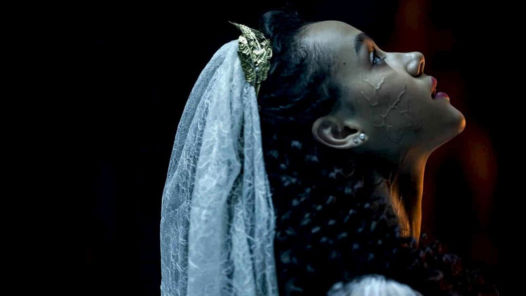 The Invitation backdrop 8