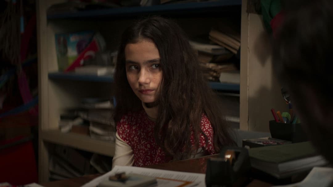 Auf trockenen Gräsern backdrop 8