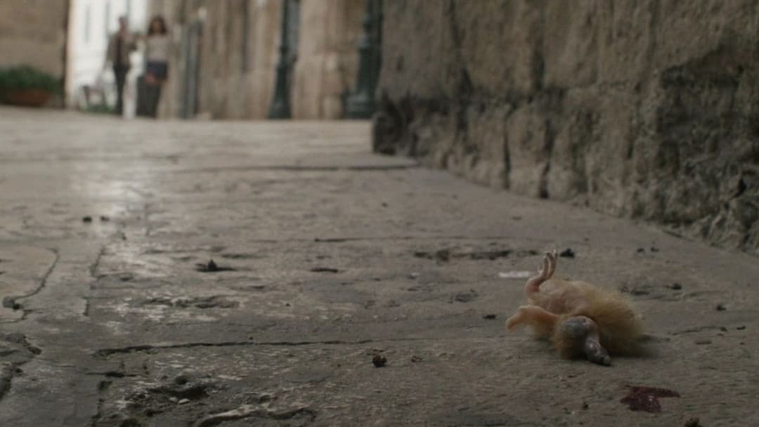 Весна backdrop 5