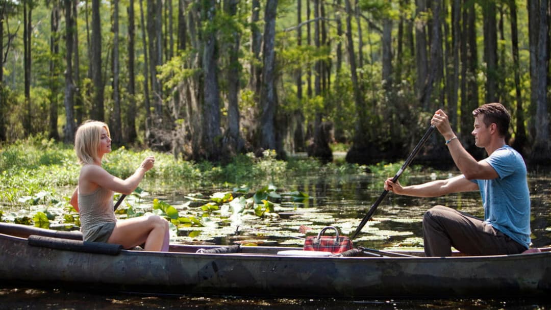 Safe Haven backdrop 2