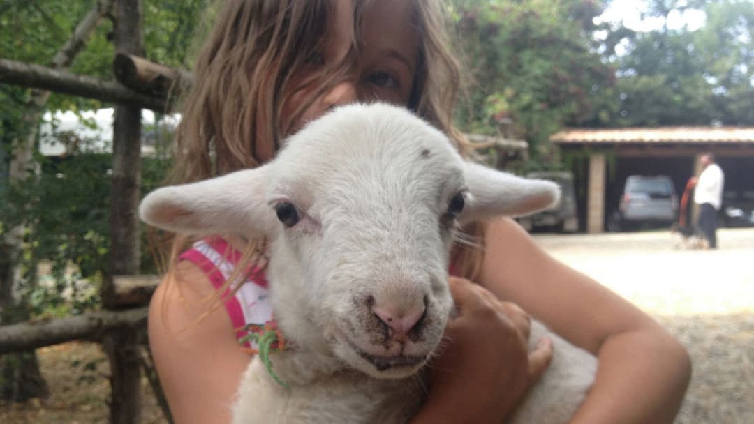 Le meraviglie backdrop 16