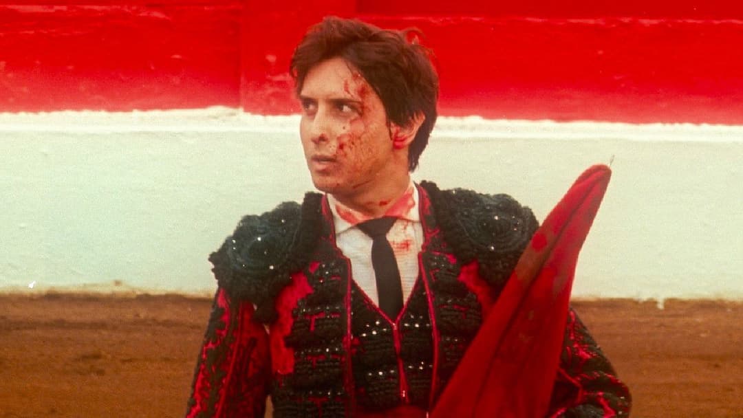 Afternoons of Solitude backdrop 8