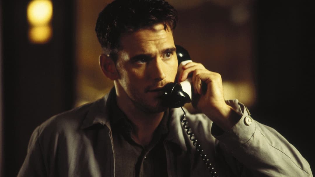 Альбіно Алігатор backdrop 2