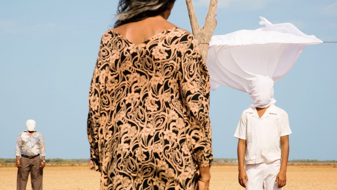 Pájaros de verano backdrop 9