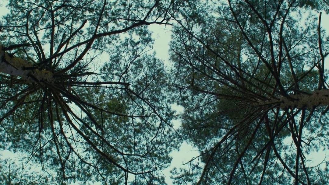 Зла не існує backdrop 18