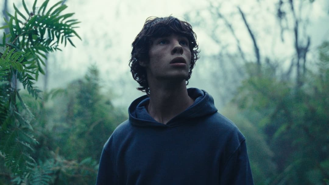 The Animal Kingdom backdrop 15