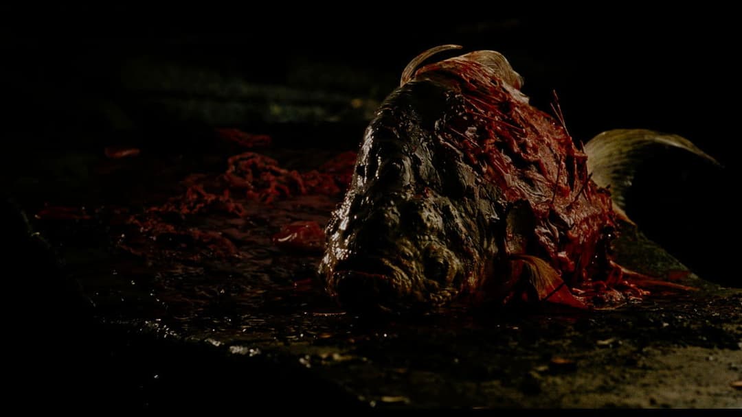 Maelström backdrop 1