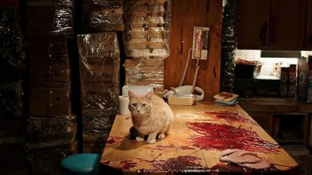 The Voices backdrop 7