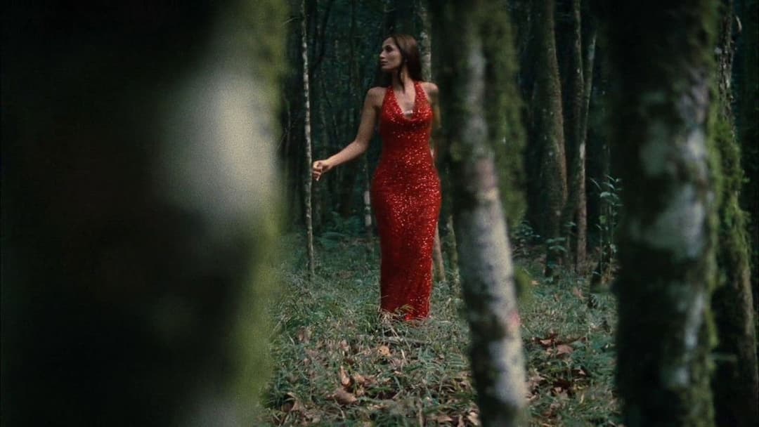 Saneamento Básico, O Filme backdrop 7