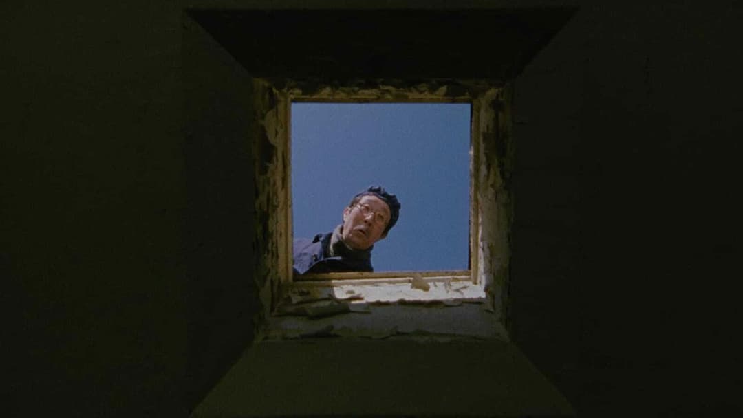 Після життя backdrop 14