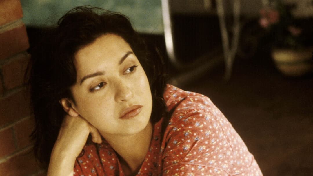 Lone Star backdrop 20