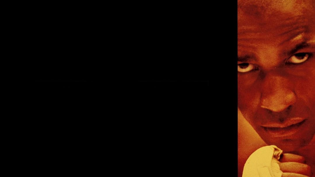 Hurricane backdrop 5