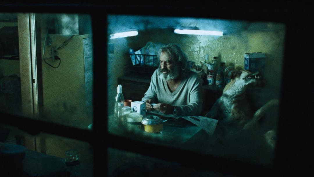 Amores perros backdrop 11