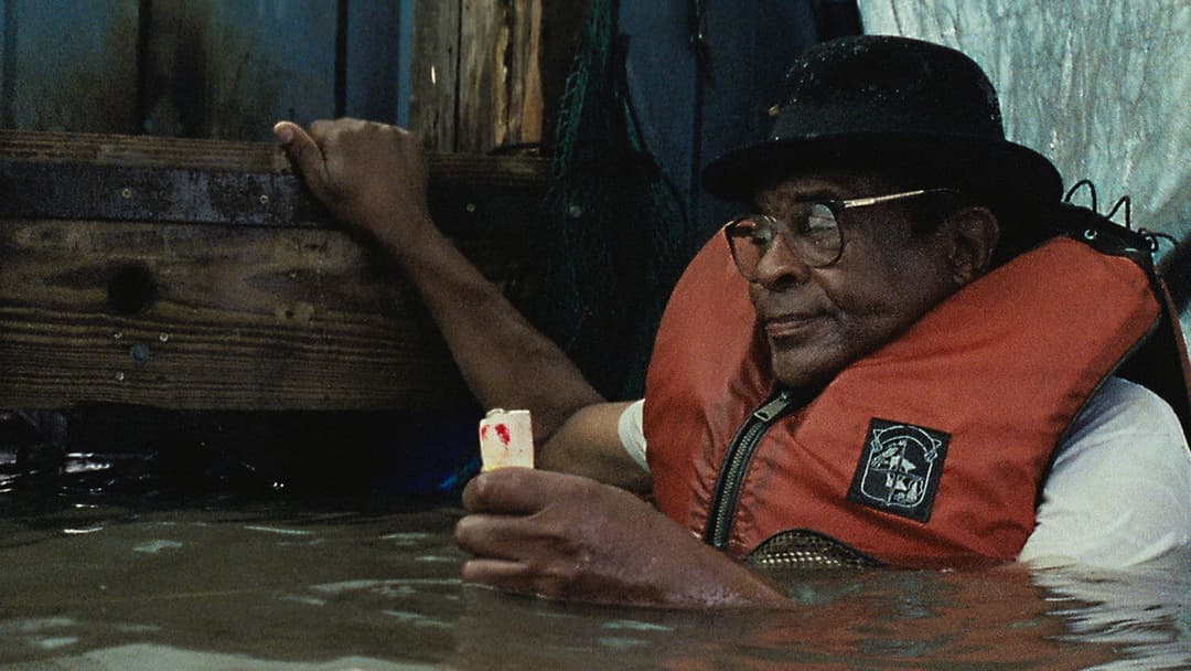 Beasts of the Southern Wild backdrop 8