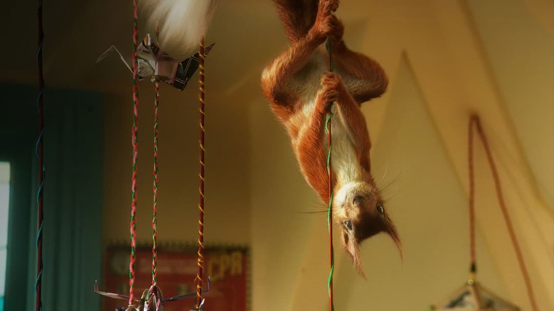 Flora & Ulysses backdrop 4