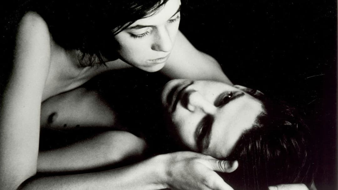 The Cement Garden backdrop 3