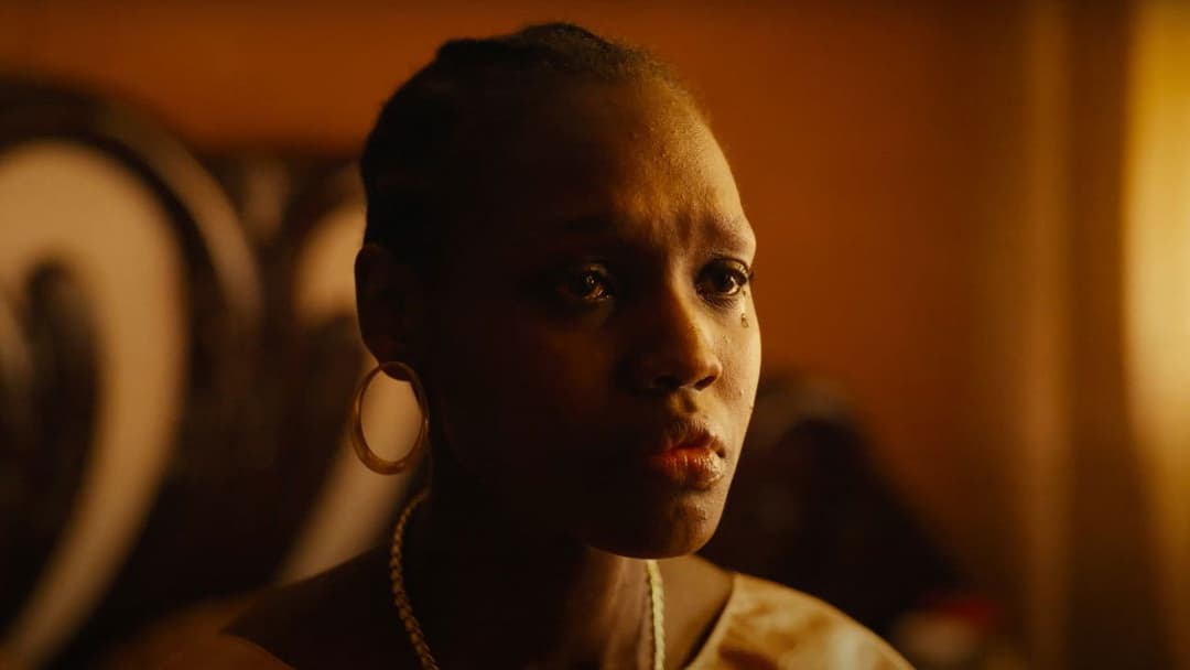 Saint Omer backdrop 4