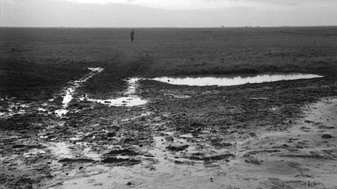 Satantango backdrop 10