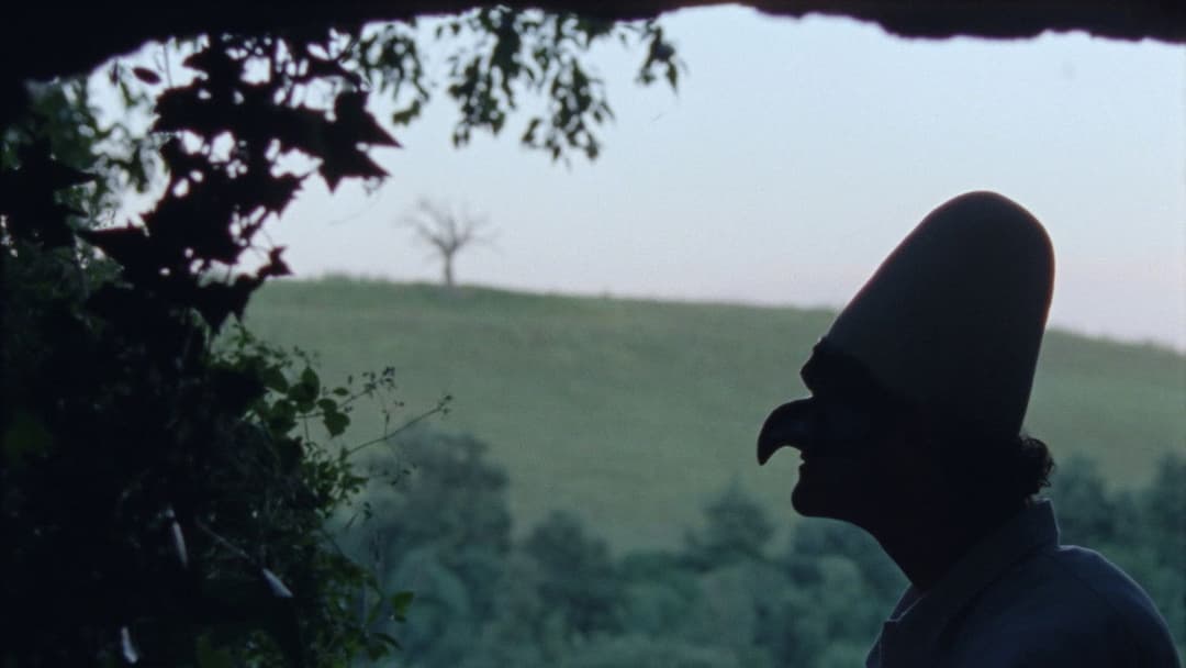 Lost and Beautiful backdrop 10