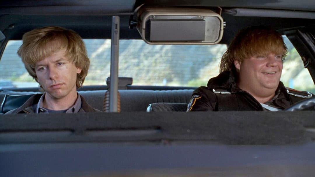 Black Sheep backdrop 5