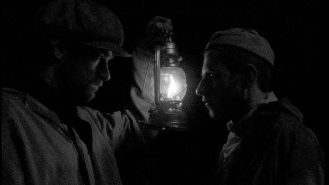 In Another Homeland backdrop 1