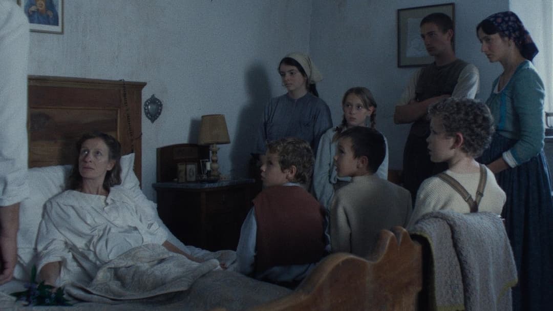 Vermiglio backdrop 20