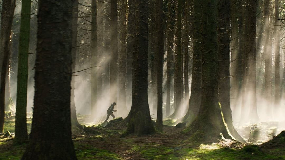 Drachenzähmen leicht gemacht backdrop 13