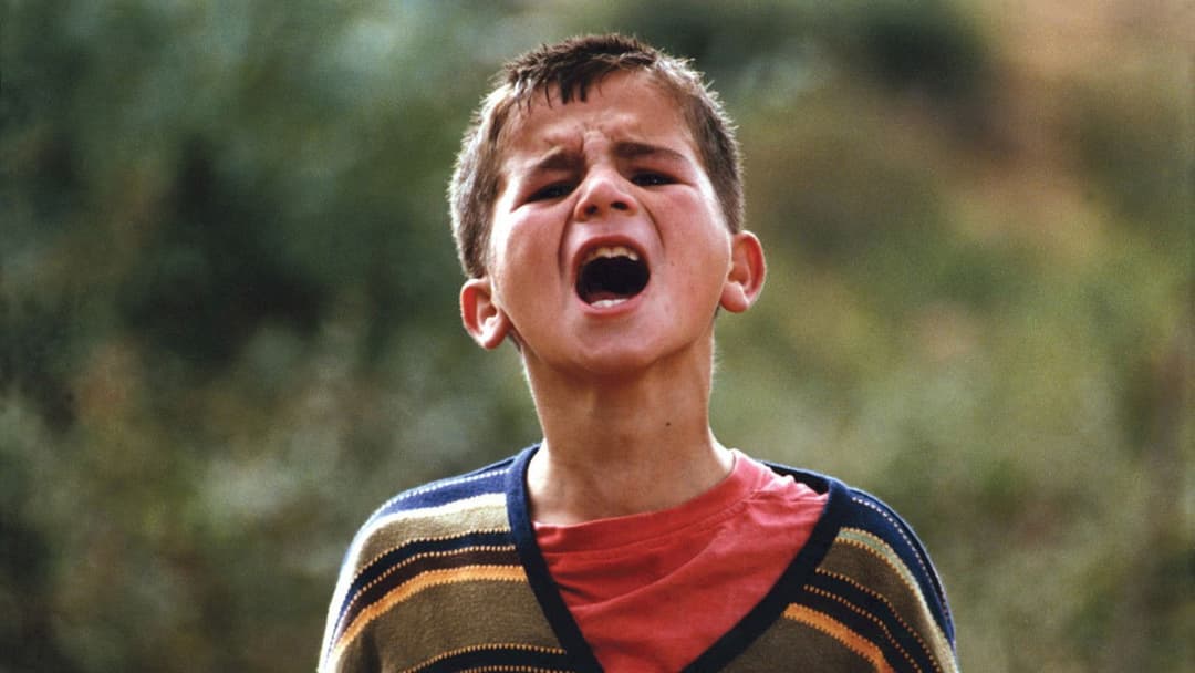 Turtles Can Fly backdrop 12