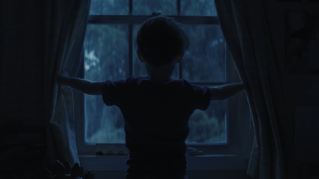 Weapons - Die Stunde des Verschwindens backdrop 3