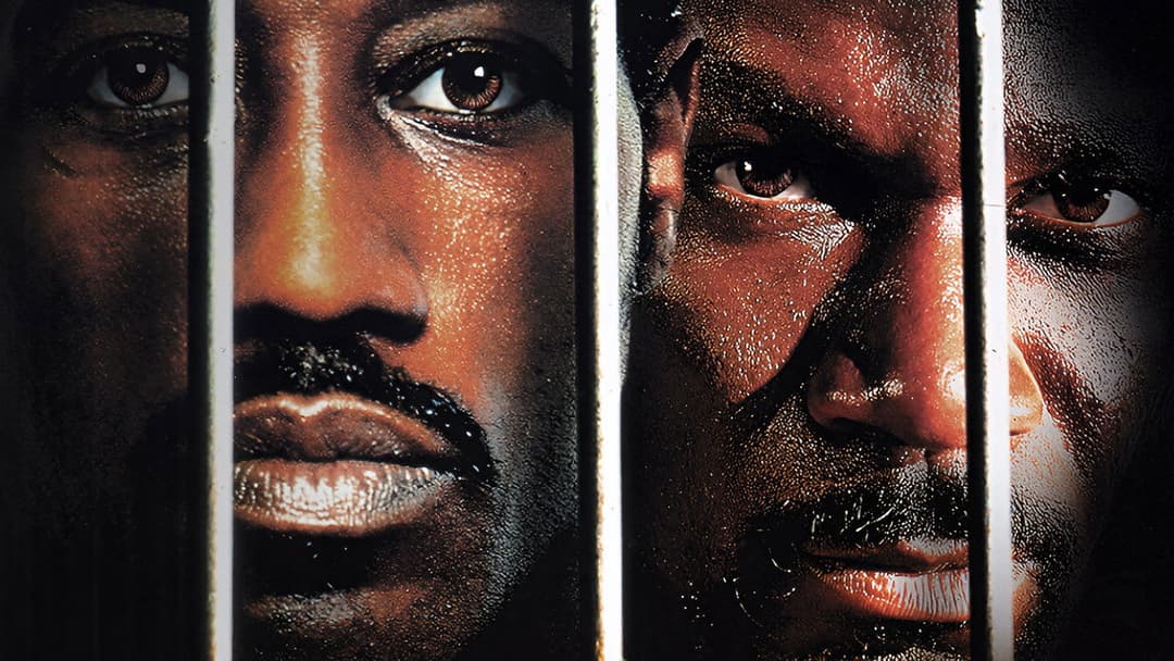 Undisputed backdrop 1