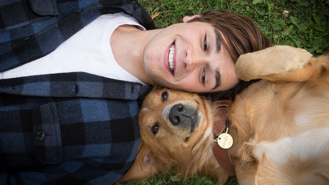 Bailey - Ein Freund fürs Leben backdrop 19