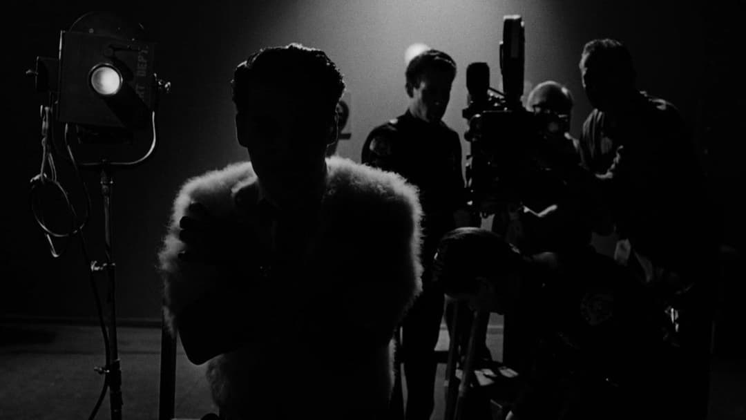 Ed Wood backdrop 7