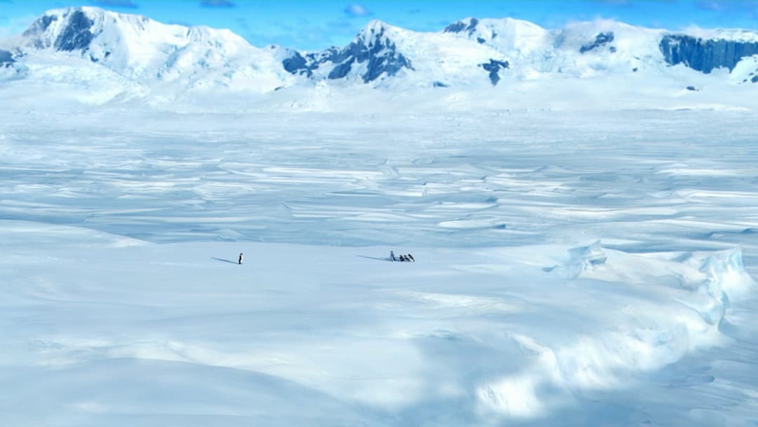 Happy Feet backdrop 15