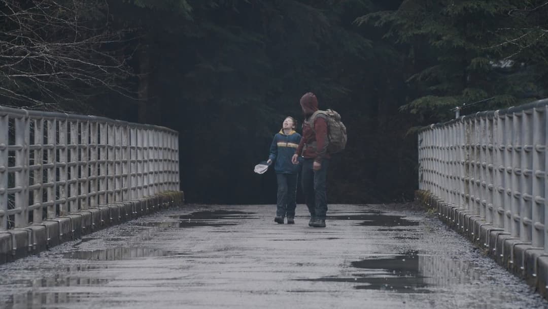 Світло мого життя backdrop 6