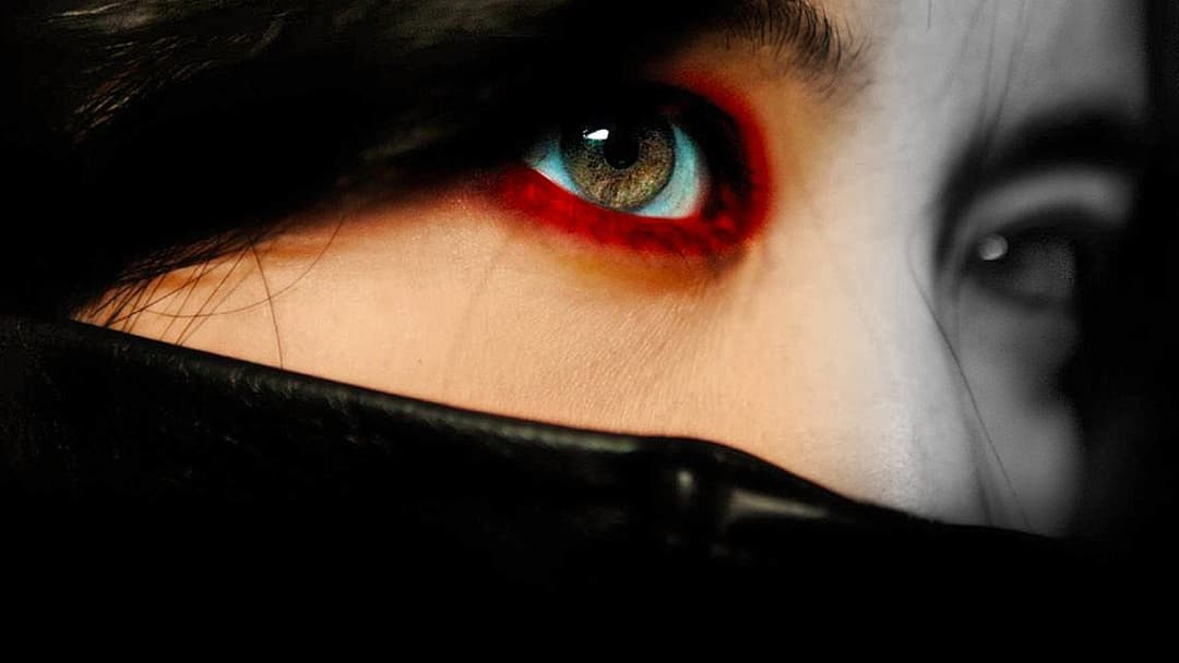 Співчуття пані Помсті