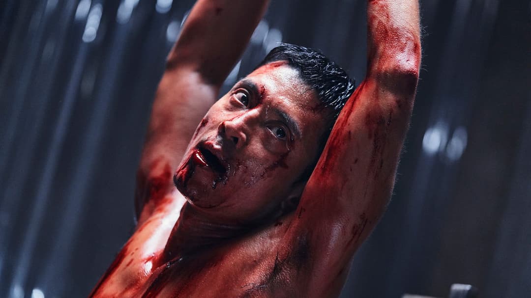 Агент домашнього призначення backdrop 4