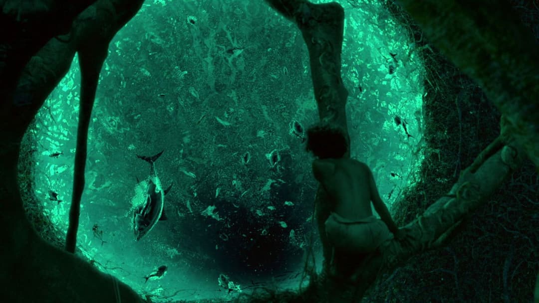 Життя Пі backdrop 17