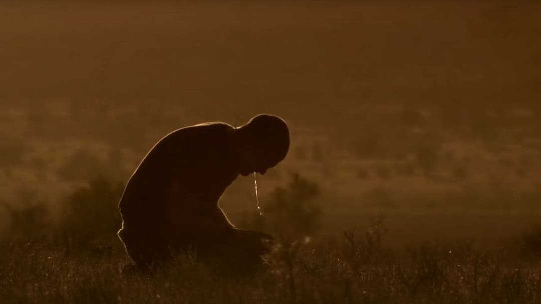 Wolf Creek backdrop 9