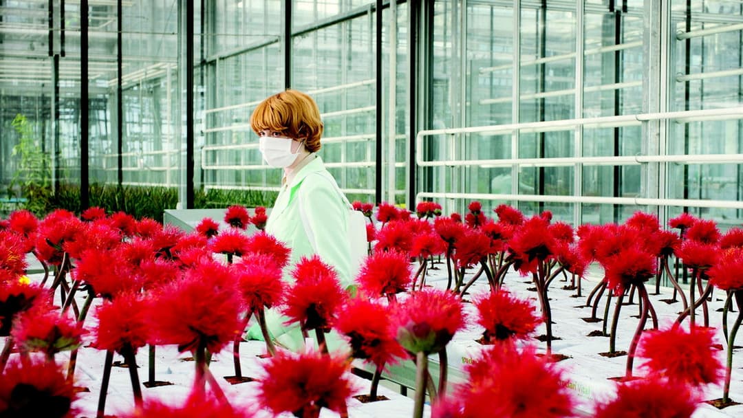 Little Joe - Glück ist ein Geschäft backdrop 2