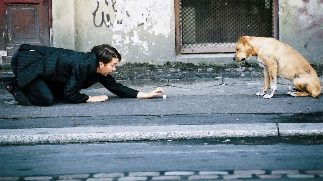 Herr Lehmann backdrop 3