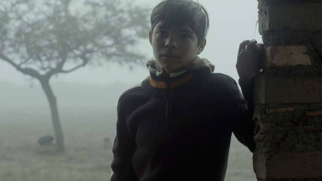 Was geschah mit Bus 670? backdrop 4