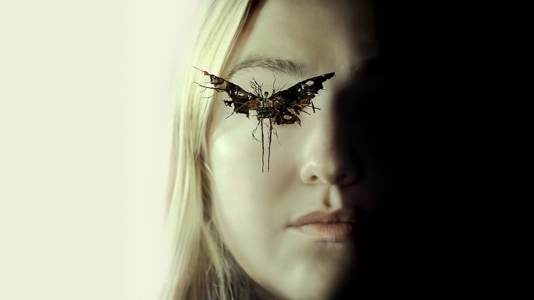 They See You backdrop 5