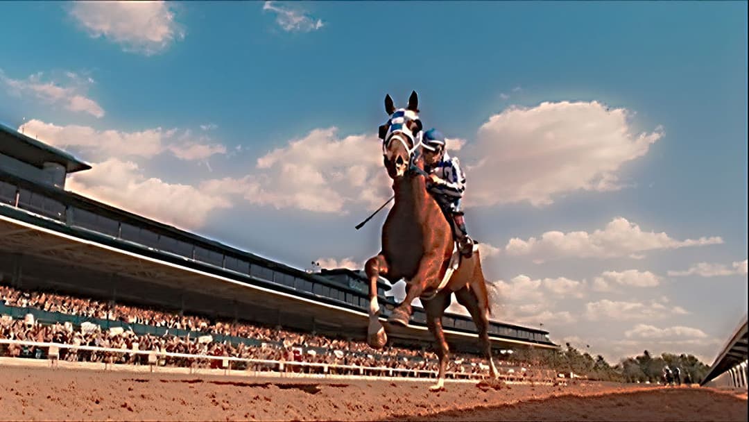 Secretariat backdrop 4