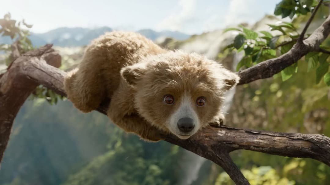 Paddington in Peru backdrop 16