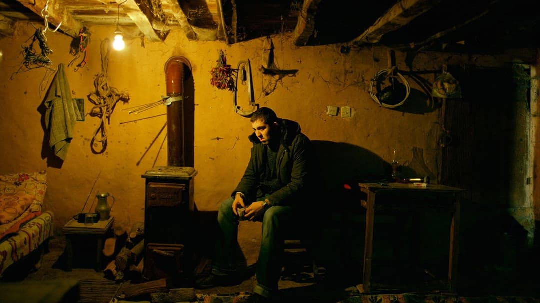 The Wild Pear Tree backdrop 12