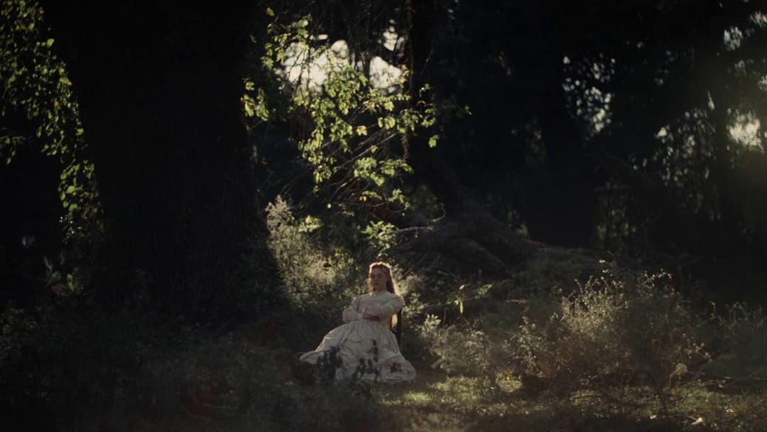 Die Verführten backdrop 14